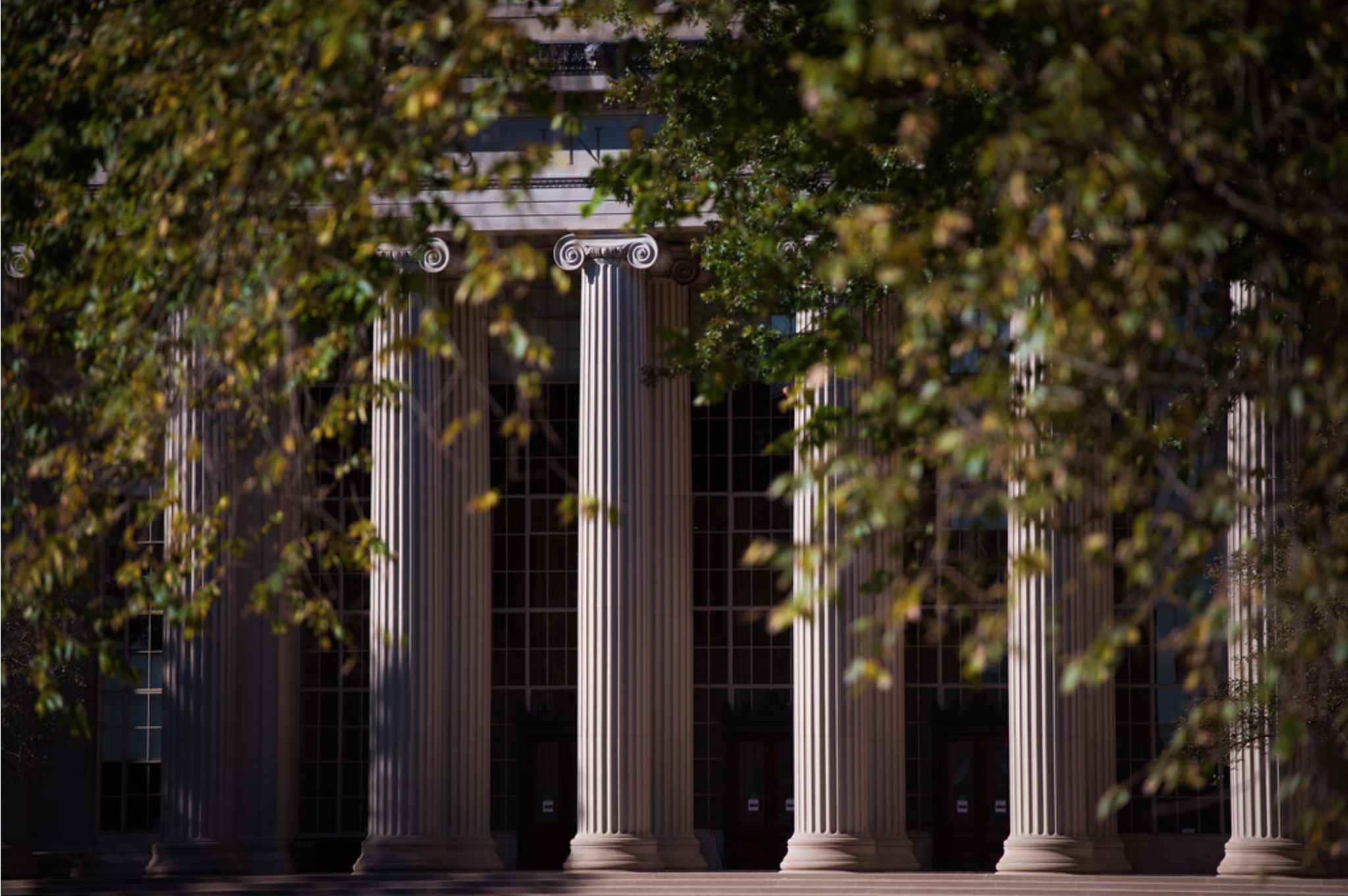 Decorative - Greek columns covered in ivy